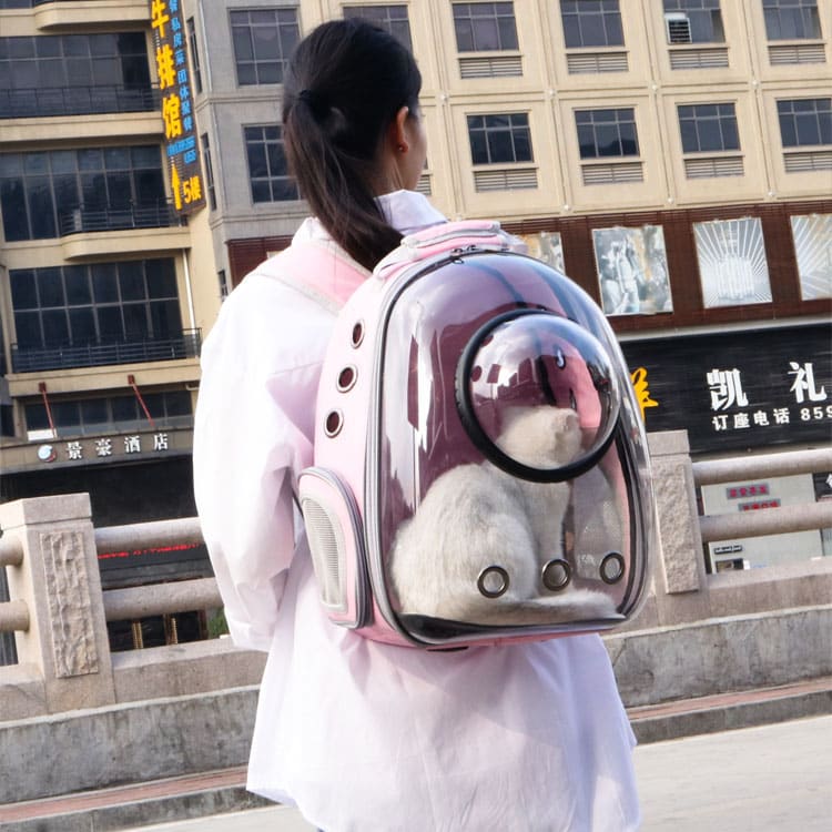 space capsule pet carrier backpack